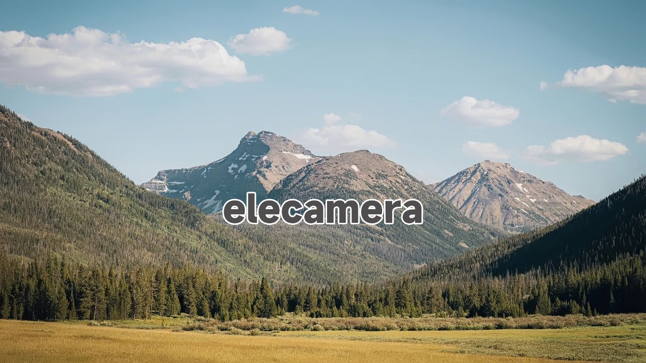 Carica il video: 
